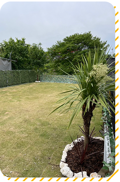 全エリア天然芝