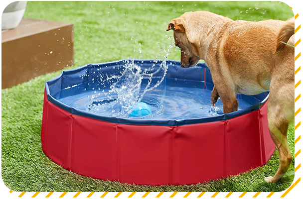 NEW！全エリアにマイラ社のペットプール