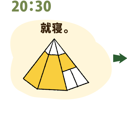 20：30 就寝。