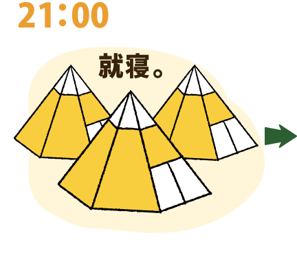 21：00 就寝。